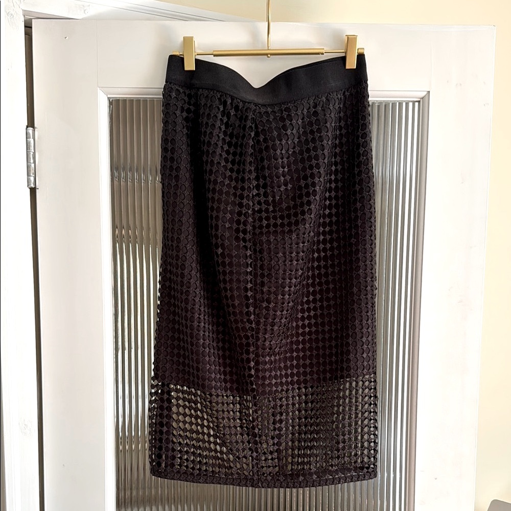 Ann Taylor Elegant Black Mesh Skirt 4